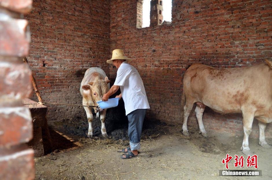 同時(shí)，地下水位的持續(xù)下降以及部分山泉水的干涸，已造成全縣2.85萬人和2000頭大牲畜出現(xiàn)飲水困難。