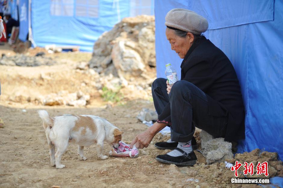 8月6日，一名老人將剛領(lǐng)到的礦泉水分給小狗。