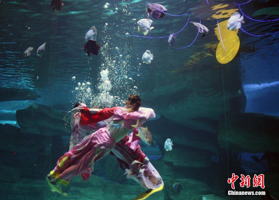 9月7日，在中秋節(jié)到來前一天，山東泉城海洋極地世界為游客帶來“嫦娥水中奔月”表演。