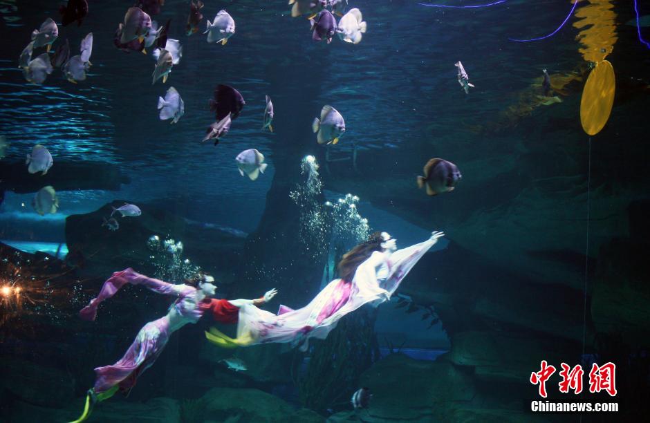 9月7日，在中秋節(jié)到來前一天，山東泉城海洋極地世界為游客帶來“嫦娥水中奔月”表演。