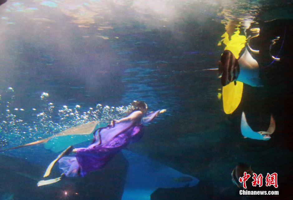 9月7日，在中秋節(jié)到來前一天，山東泉城海洋極地世界為游客帶來“嫦娥水中奔月”表演。