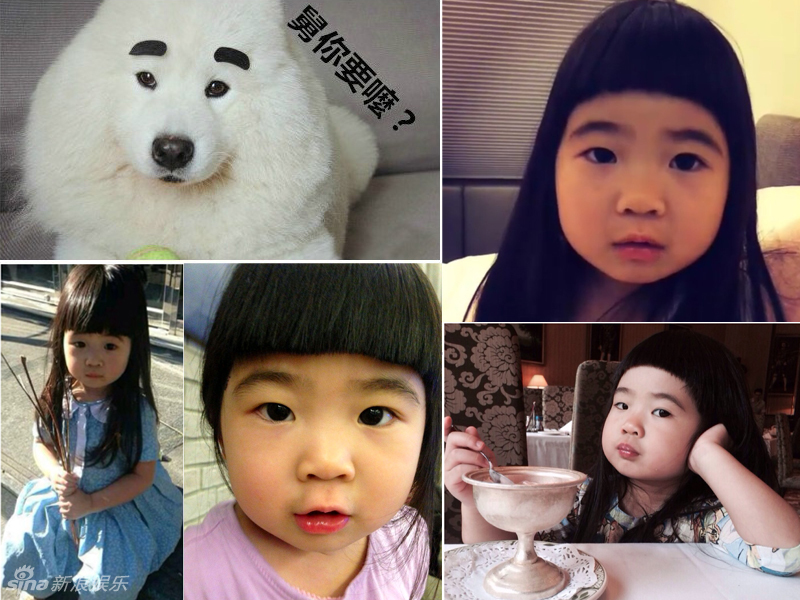 不小心就撞臉了！盤點動物界的明星相