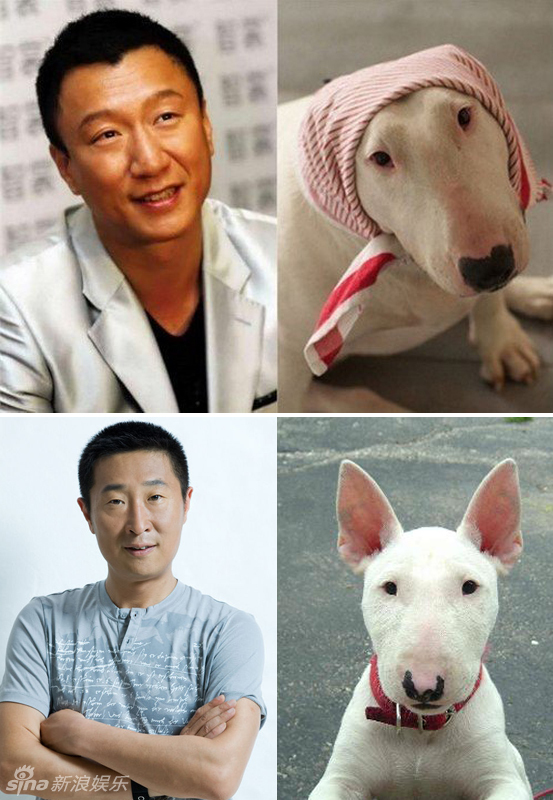 不小心就撞臉了！盤點動物界的明星相