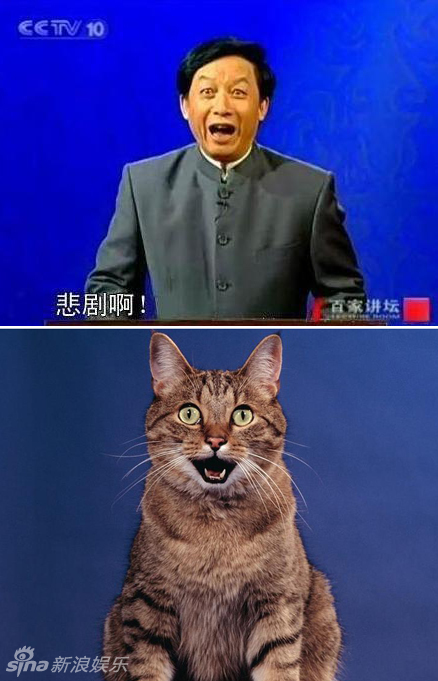 不小心就撞臉了！盤點動物界的明星相