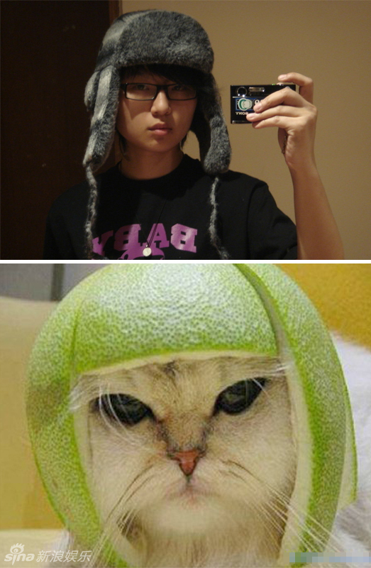 不小心就撞臉了！盤點動物界的明星相