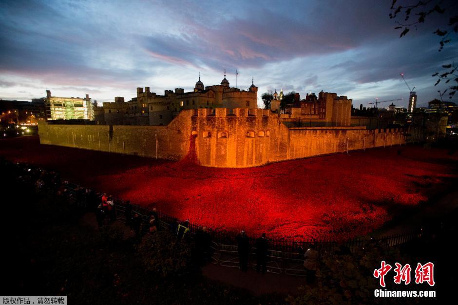 當(dāng)?shù)貢r間2014年11月10日，英國倫敦，倫敦塔周邊“種植”了888246朵陶瓷材質(zhì)的罌粟花，以此紀(jì)