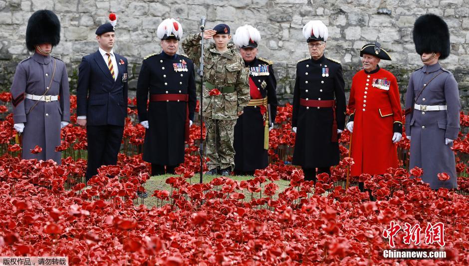 當(dāng)?shù)貢r間2014年11月10日，英國倫敦，倫敦塔周邊“種植”了888246朵陶瓷材質(zhì)的罌粟花，以此紀(jì)