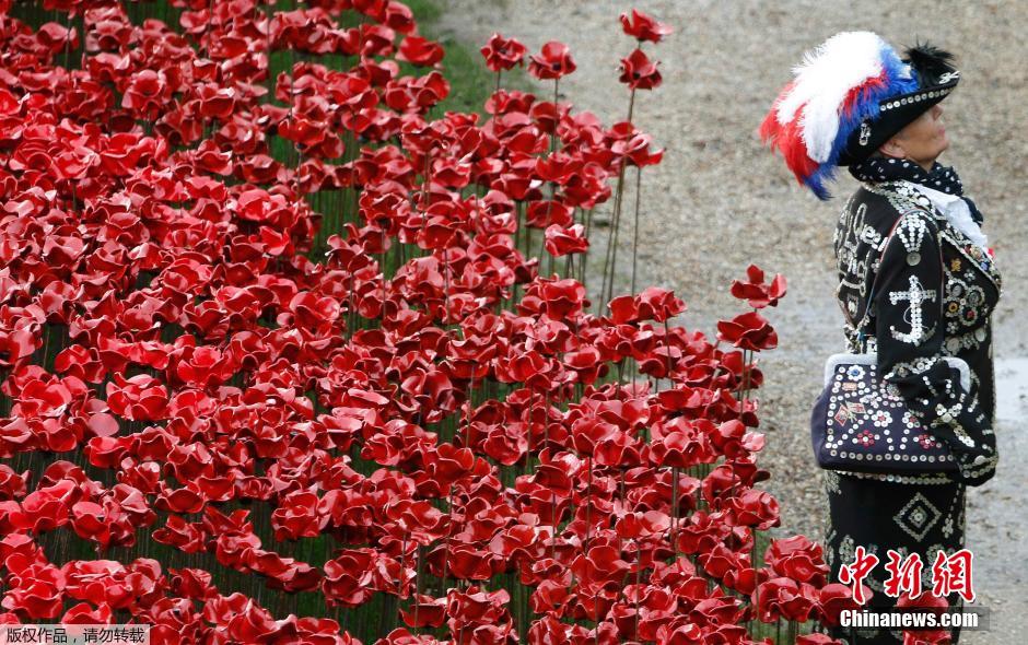 當(dāng)?shù)貢r間2014年11月10日，英國倫敦，倫敦塔周邊“種植”了888246朵陶瓷材質(zhì)的罌粟花，以此紀(jì)