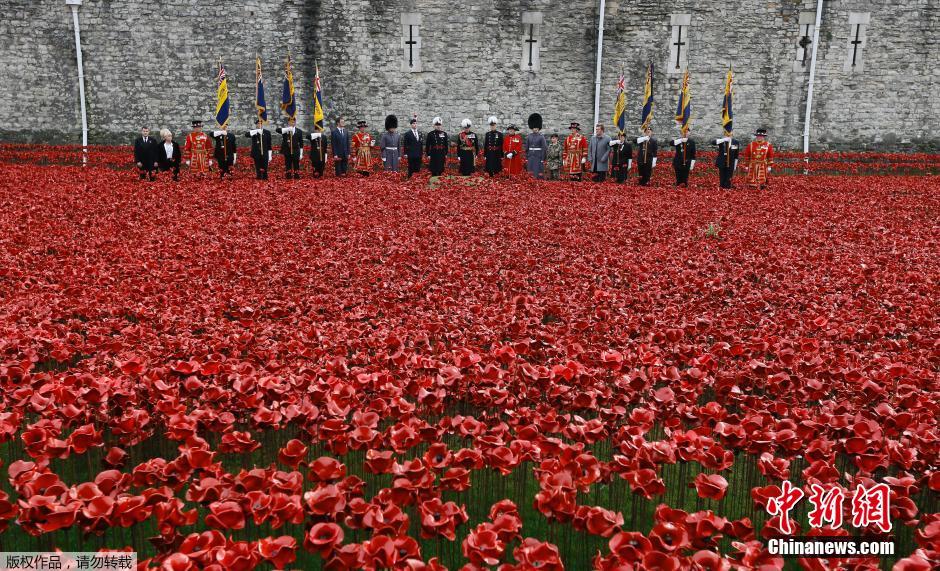 當(dāng)?shù)貢r間2014年11月10日，英國倫敦，倫敦塔周邊“種植”了888246朵陶瓷材質(zhì)的罌粟花，以此紀(jì)