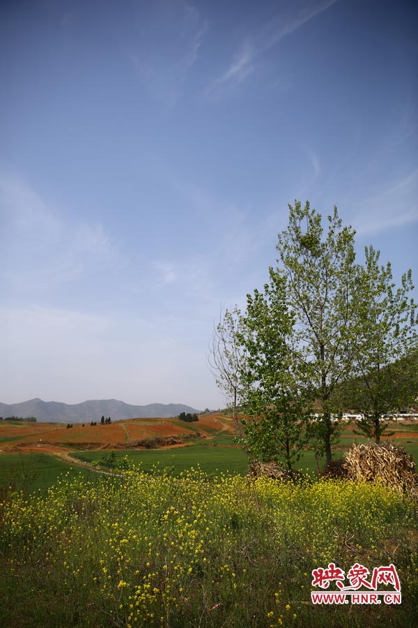 庫區(qū)的藍天、白云、綠樹、黃花給人清新的享受