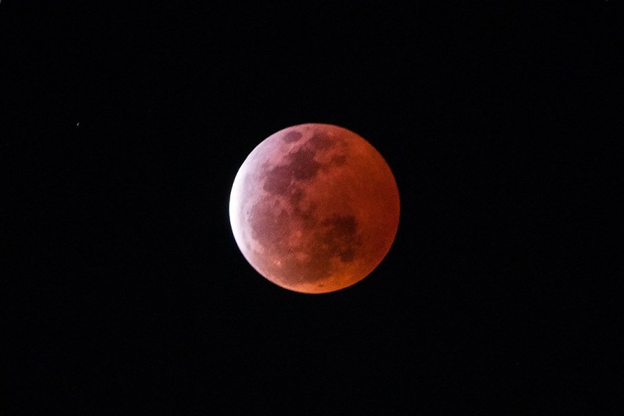 4月4日，福州上空出現(xiàn)紅月亮。楊婀娜/CFP