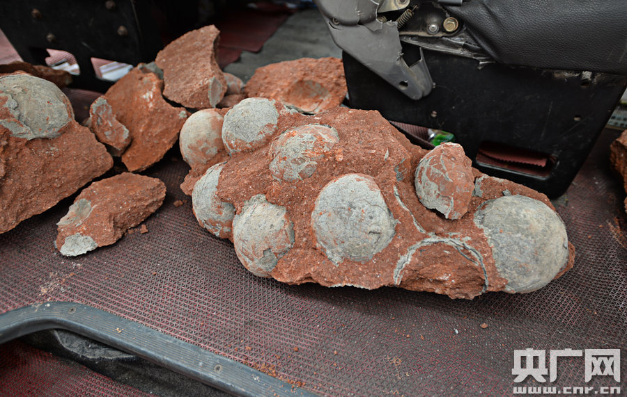 其中完整的19枚，都是直徑約13厘米的“大個子”。