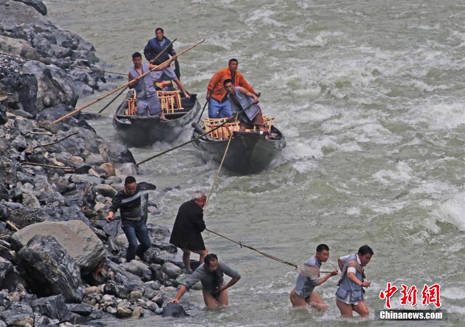 纖夫在神農(nóng)溪畔牽引木船溯溪而上。