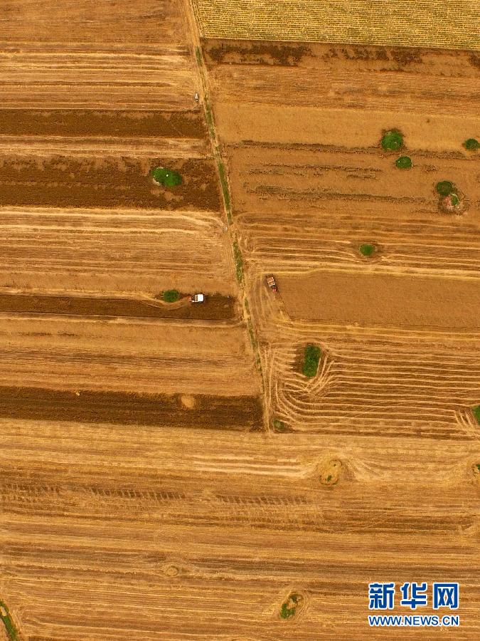 這是5月28日在河南省南陽市唐河縣甘河灣村航拍的麥?zhǔn)宅F(xiàn)場。