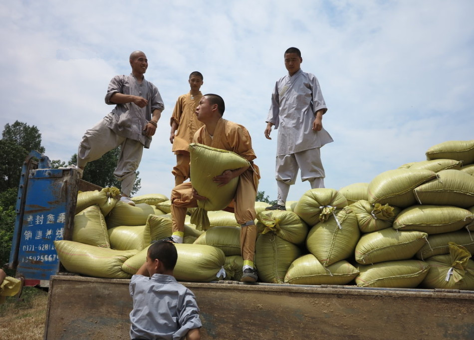 武僧將打包后的糧食集中至運輸車輛上。