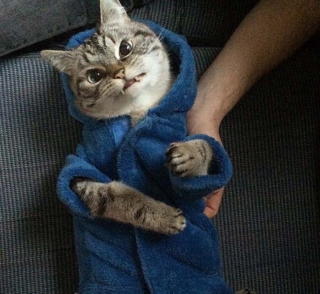 身穿浴袍的Loki好像看起來(lái)也沒(méi)那么兇哦。