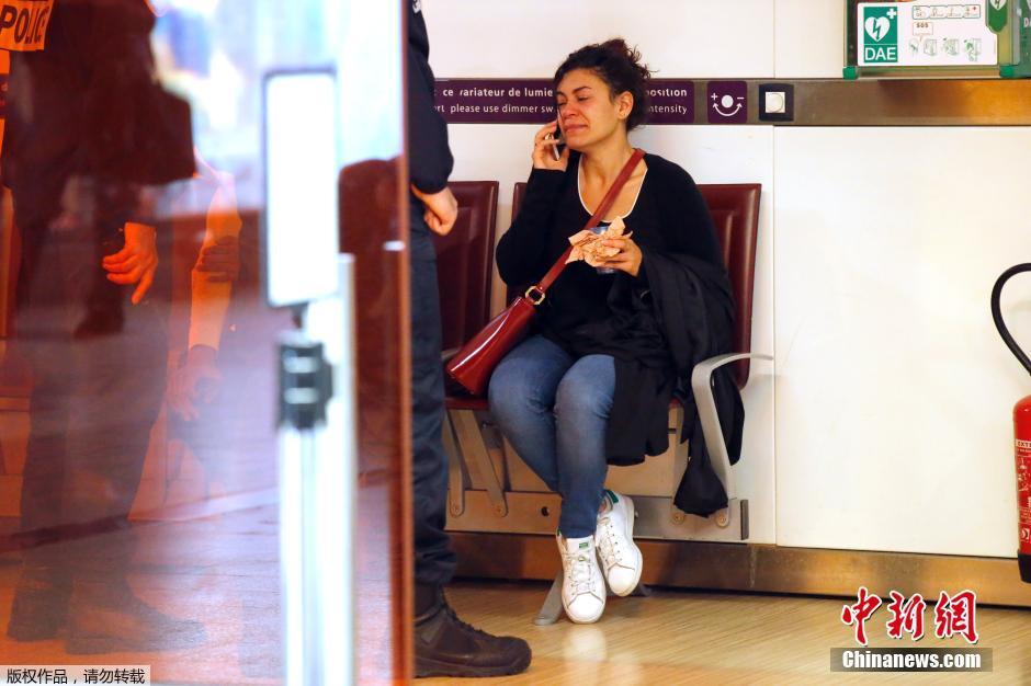 載66人埃航失聯(lián)客機墜毀 同線航班當(dāng)晚照常起飛