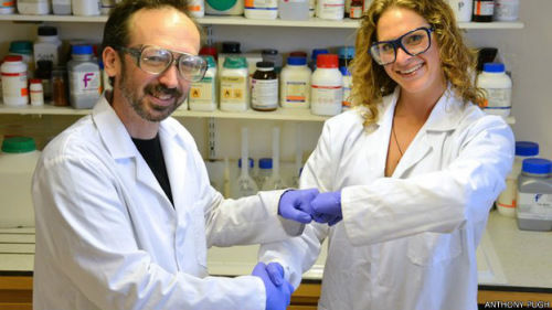 英國(guó)科學(xué)家呼吁用碰拳取代握手 減少病菌傳播