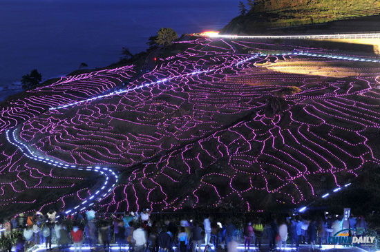 日本“白米千枚田”萬燈點(diǎn)綴 如夢如幻場面震撼