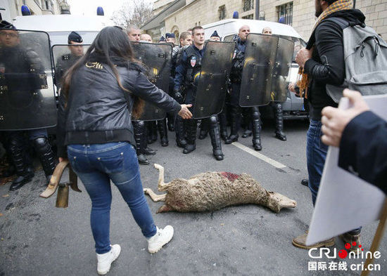 　　當?shù)貢r間2014年11月27日，法國巴黎，法國農(nóng)民帶綿羊在埃菲爾鐵塔附近抗議，要求環(huán)保部門采取有效措施解決狼群襲擊羊群問題?！D片來源：TRICK KOVARIK/CFP