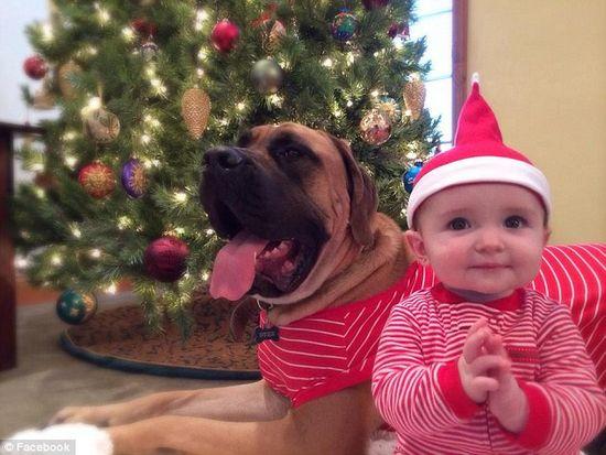 圖為美國2歲大的寵物犬與主人9個(gè)月大的女嬰。圖片來源：臉譜網(wǎng)站（Facebook）。