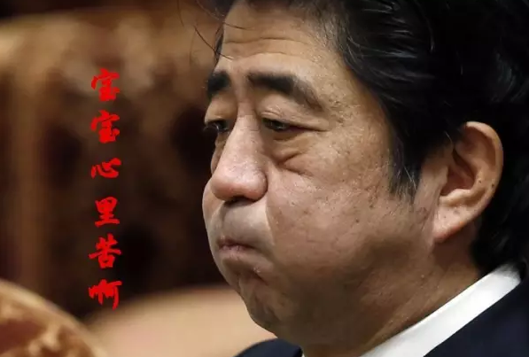 這種看安倍“熱鬧”的事兒，環(huán)環(huán)絕不私藏，一定雨露均沾!