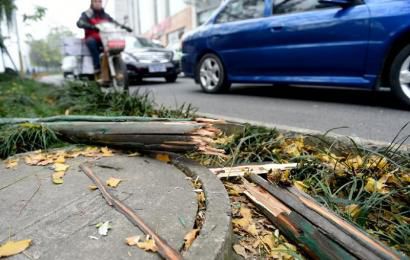 事發(fā)現(xiàn)場，嫌疑車輛撞壞的木樁。