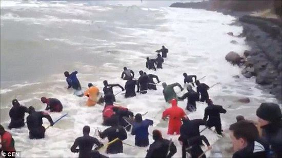 一場暴雨后，俄羅斯加里寧格勒Pionersky鎮(zhèn)，數(shù)十人潛入海水中搜尋琥珀。