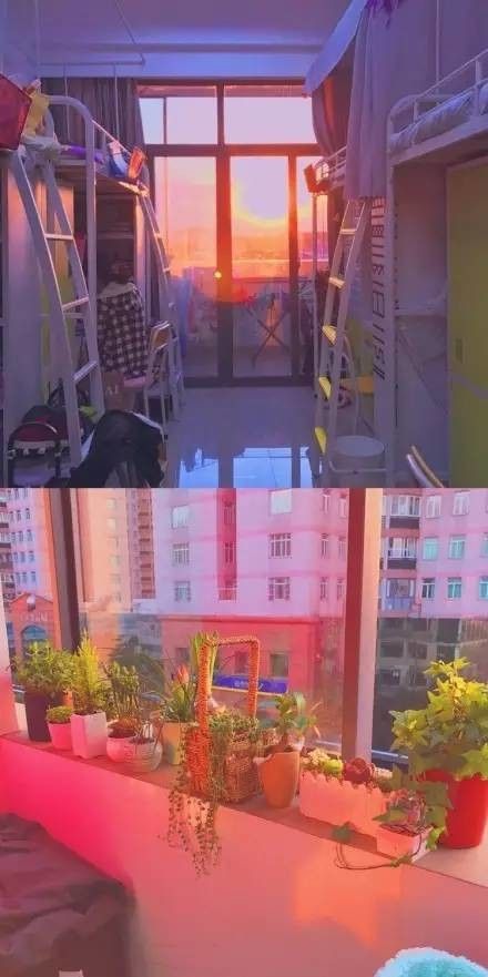 這個(gè)學(xué)校的男生宿舍火了！女同學(xué)都喊著要嫁