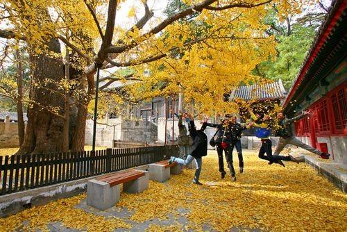 遠(yuǎn)離低頭族 教你適當(dāng)使用手機 遠(yuǎn)離低頭族 教你適當(dāng)使用手機