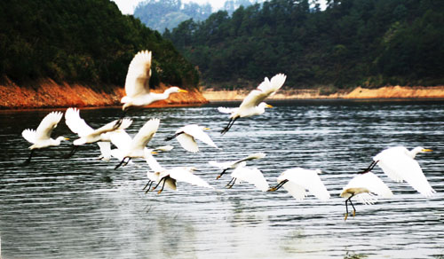 考完去哪兒？千島湖中、高考生門票大優(yōu)惠！