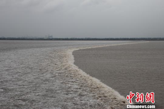 近四年來最大的農(nóng)歷八月十八錢塘潮如約而至抵達浙江省海寧鹽官