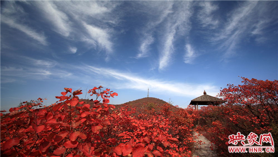 青天河景區(qū)空氣負離子濃度超高 是天然大氧吧 青天河景區(qū)空氣負離子濃度超高 是天然大氧吧