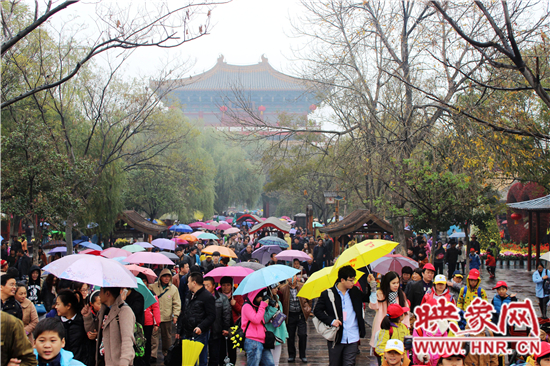 天好、花美 中國開封第32屆菊花文化節(jié)延長一周