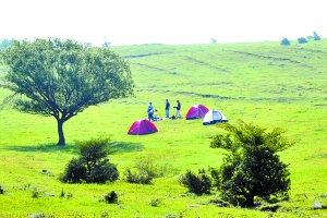 洛陽黛眉山景區(qū)開園迎賓，明年五一前免費開放