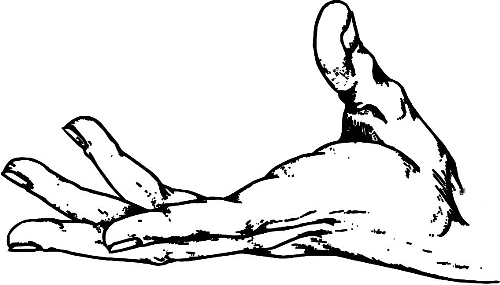 　時間：拿到通知書，未報到就可申請