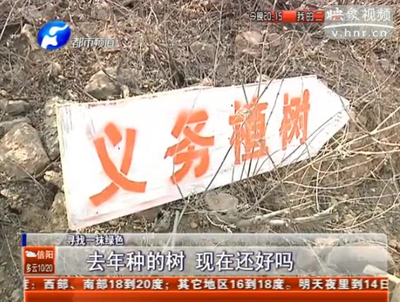 去年種的樹(shù) 現(xiàn)在還好嗎？