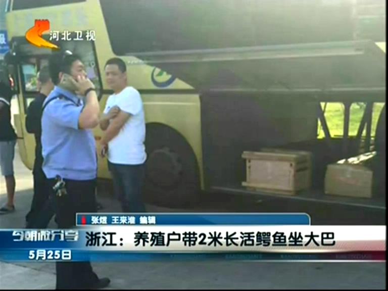養(yǎng)殖戶(hù)帶2米長(zhǎng)活鱷魚(yú)坐大巴
