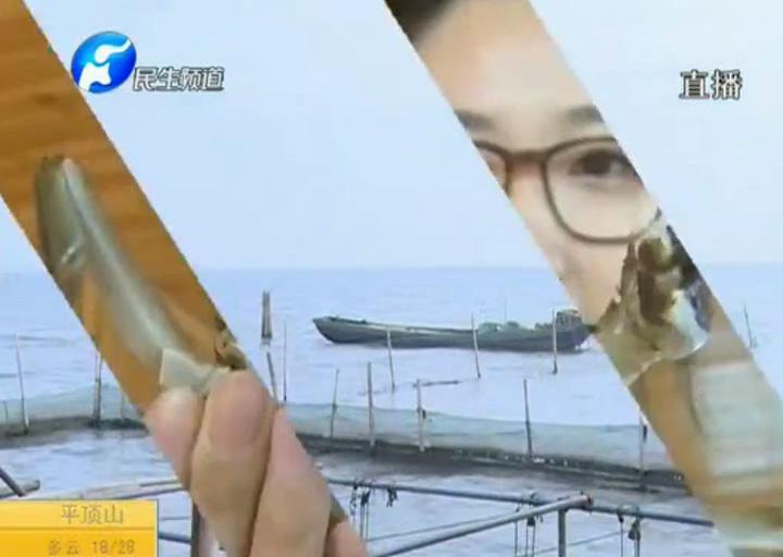 陽澄湖大閘蟹？假的！