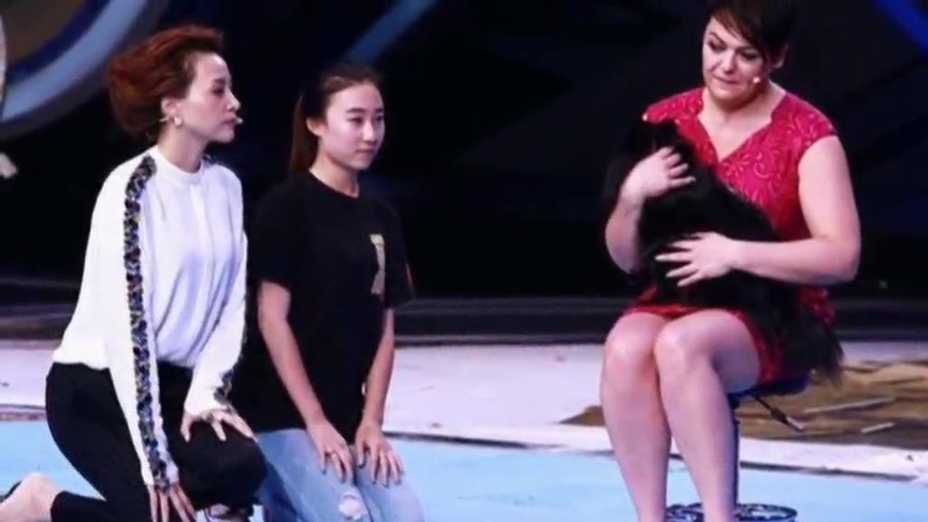 又當托？ 董卿節(jié)目現(xiàn)場當眾對狗下跪稱被催眠