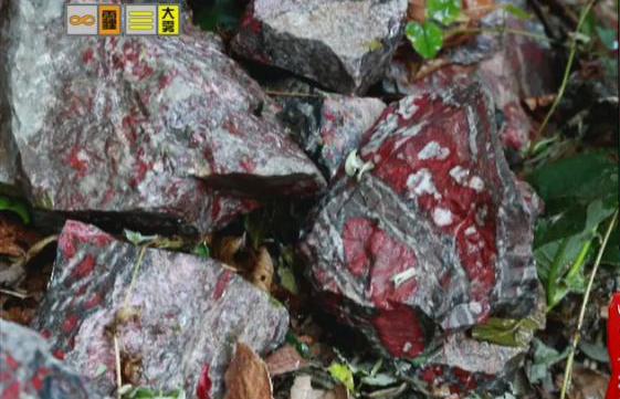 驚！神農(nóng)架無人區(qū)現(xiàn)神秘玉石