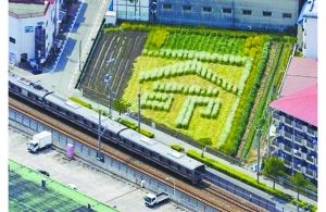 日本2005年列車事故現(xiàn)場附近的一塊農(nóng)田里勾勒出一個“命”字，以警世人。