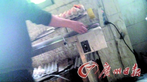 工作人員正在為“土雞蛋”噴日期碼。