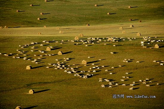 額爾古納大草原 作者:歐陽攝影 額爾古納大草原 作者:歐陽攝影